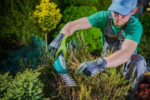 landscaping services Rittman